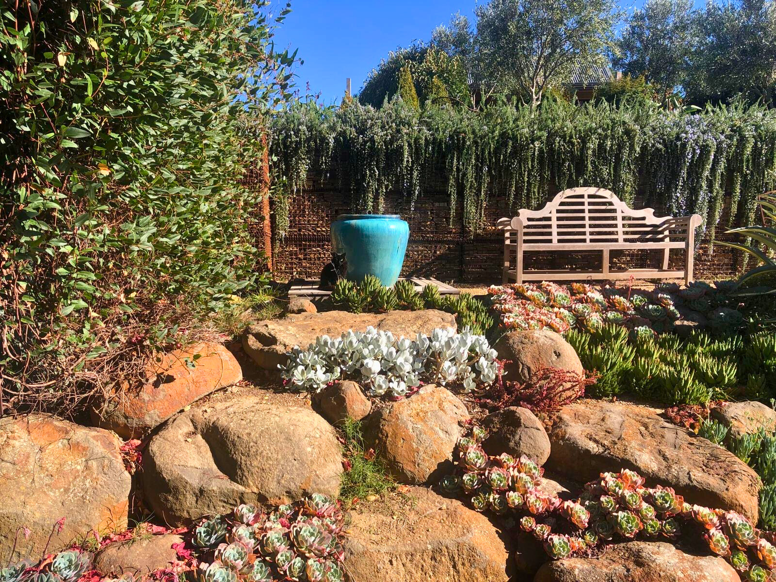 A serene garden bench surrounded by rocks and plants, located within the Follow Through House facility. A serene garden bench surrounded by rocks and plants, located within the Follow Through House facility.