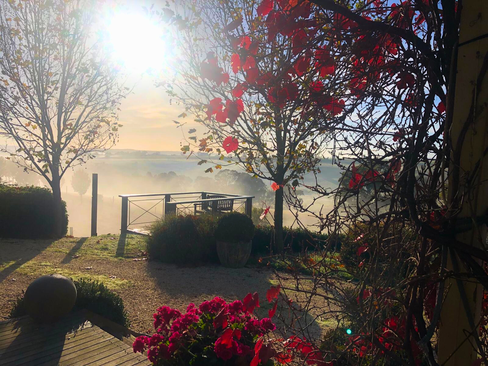 Sunlight filters through trees, illuminating fog in the background at the Follow Though House facility. Sunlight filters through trees, illuminating fog in the background at the Follow Though House facility.