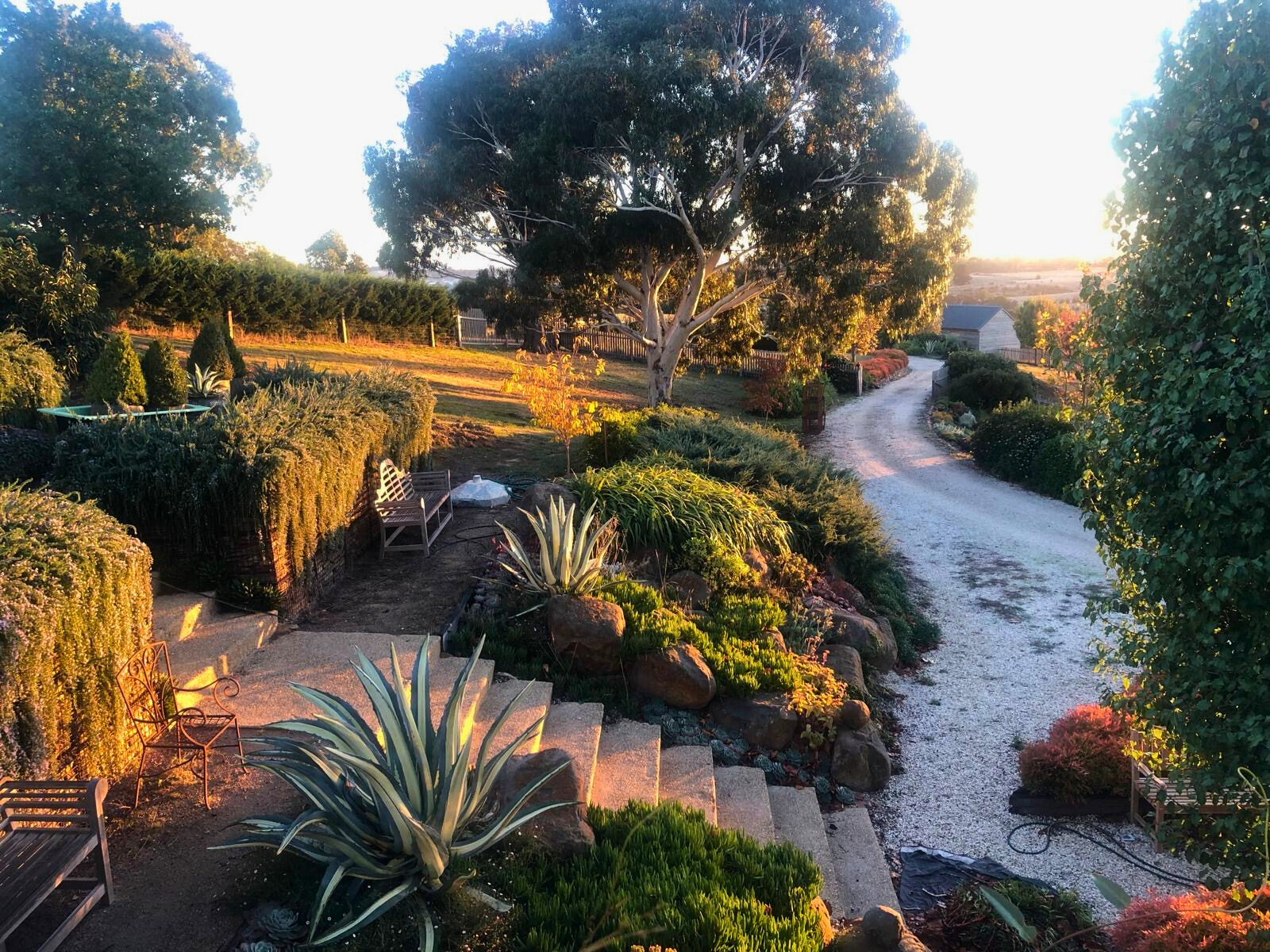 A lush garden featuring various plants and trees, located within the Follow Though House facility. A lush garden featuring various plants and trees, located within the Follow Though House facility.