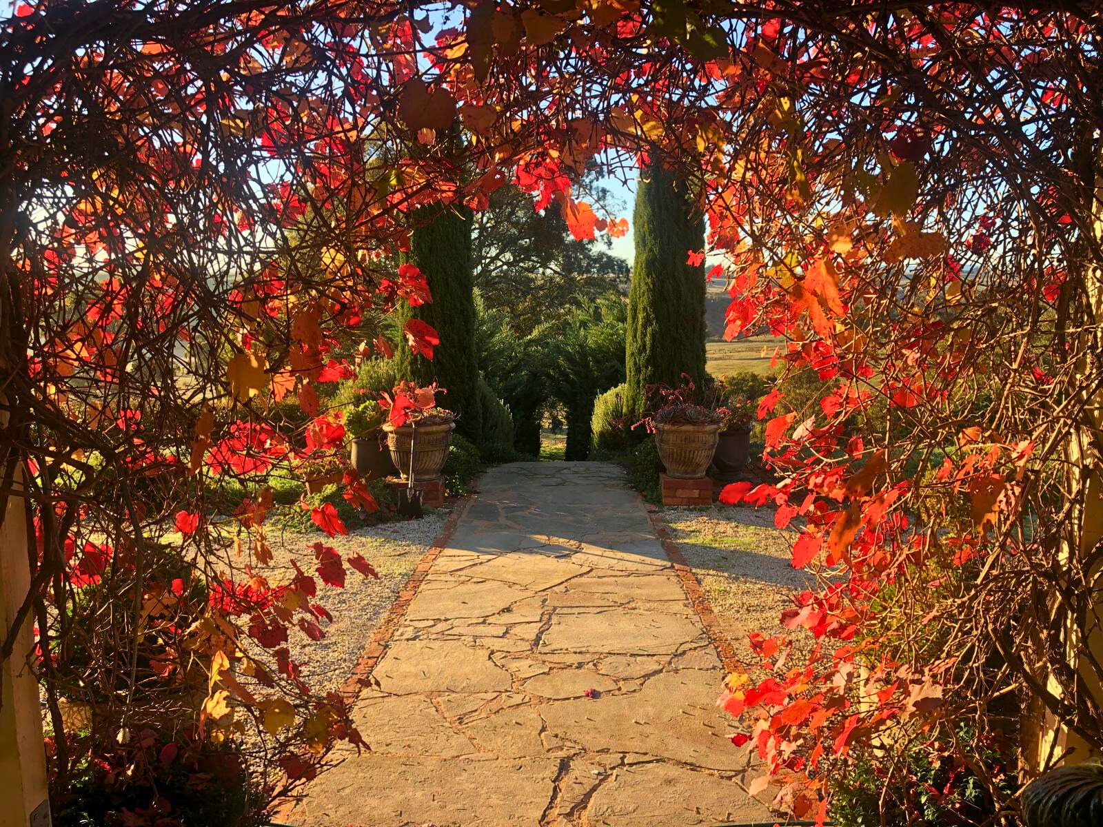 A picturesque pathway adorned with red leaves and a stone wall, located at the Follow Through House facility. A picturesque pathway adorned with red leaves and a stone wall, located at the Follow Through House (Women’s addiction recovery retreat) facility.