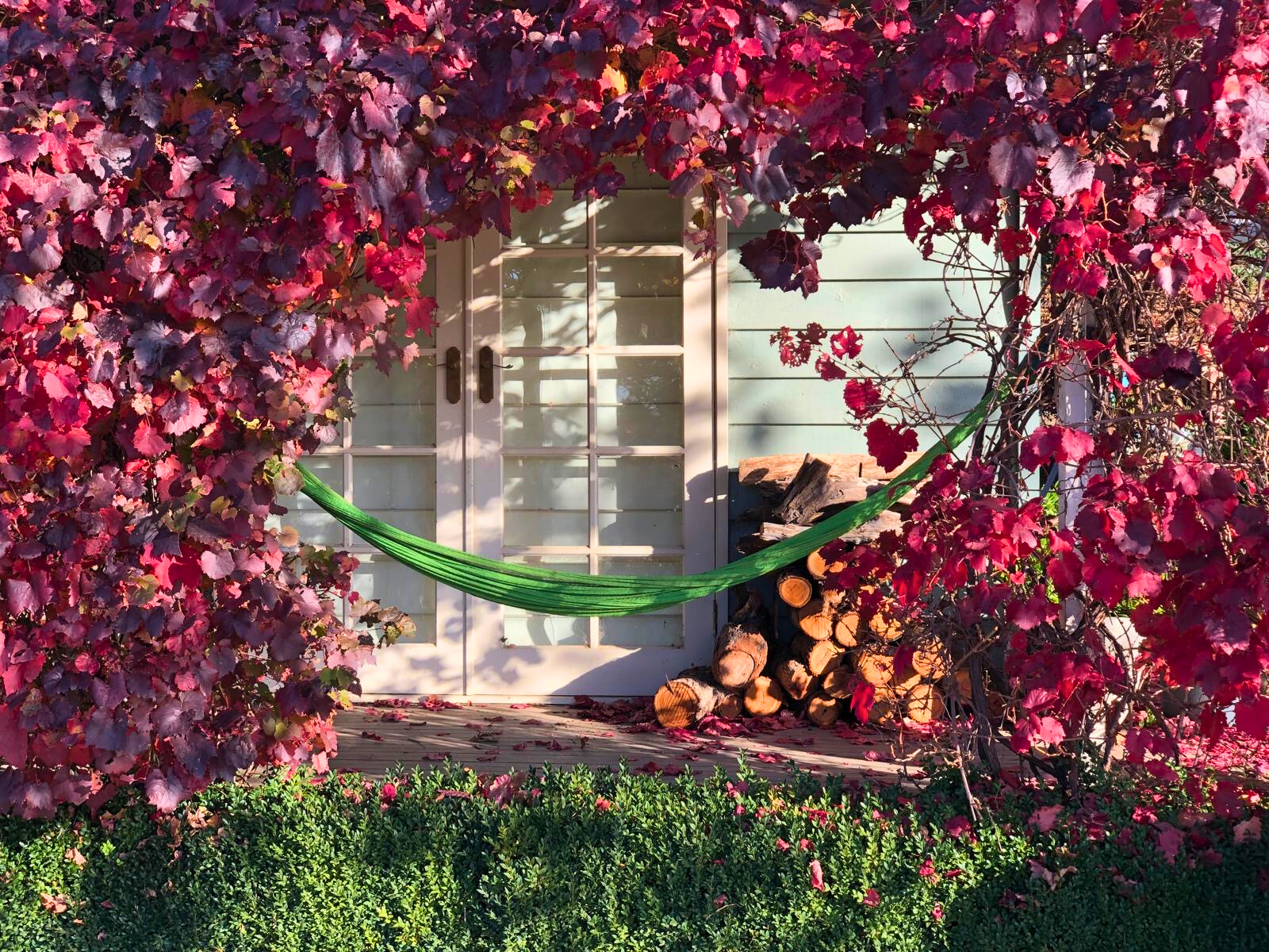 A hammock sways gently in front of a house adorned with vibrant red leaves, part of the Follow Through House facility. A hammock sways gently in front of a house adorned with vibrant red leaves, part of the Follow Through House facility.