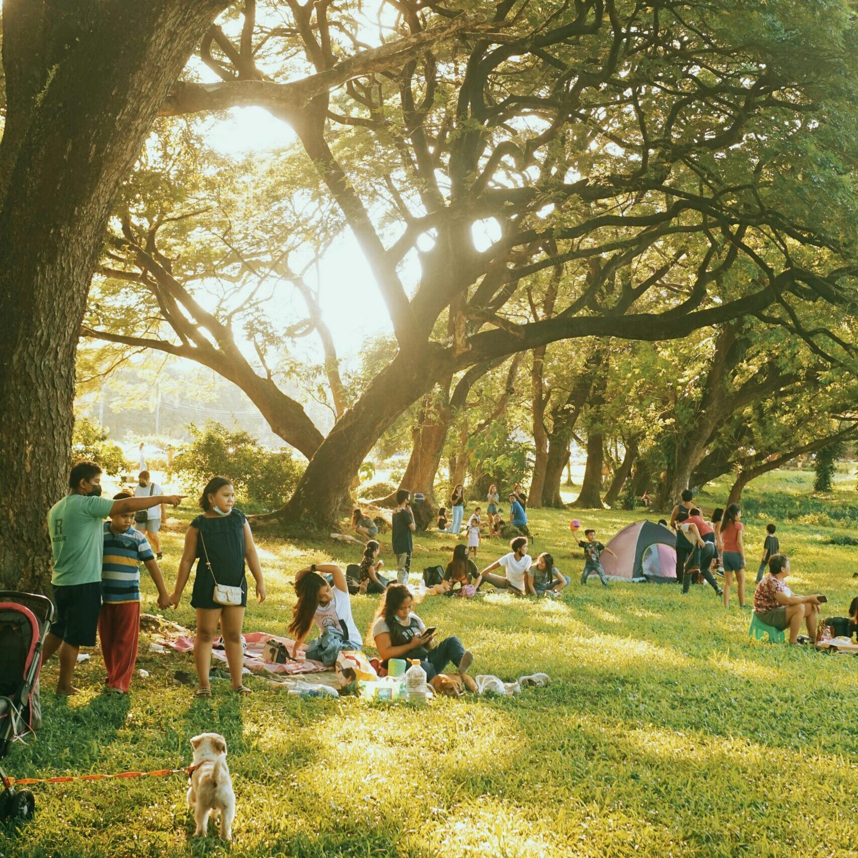 People Enjoying the Forest Park