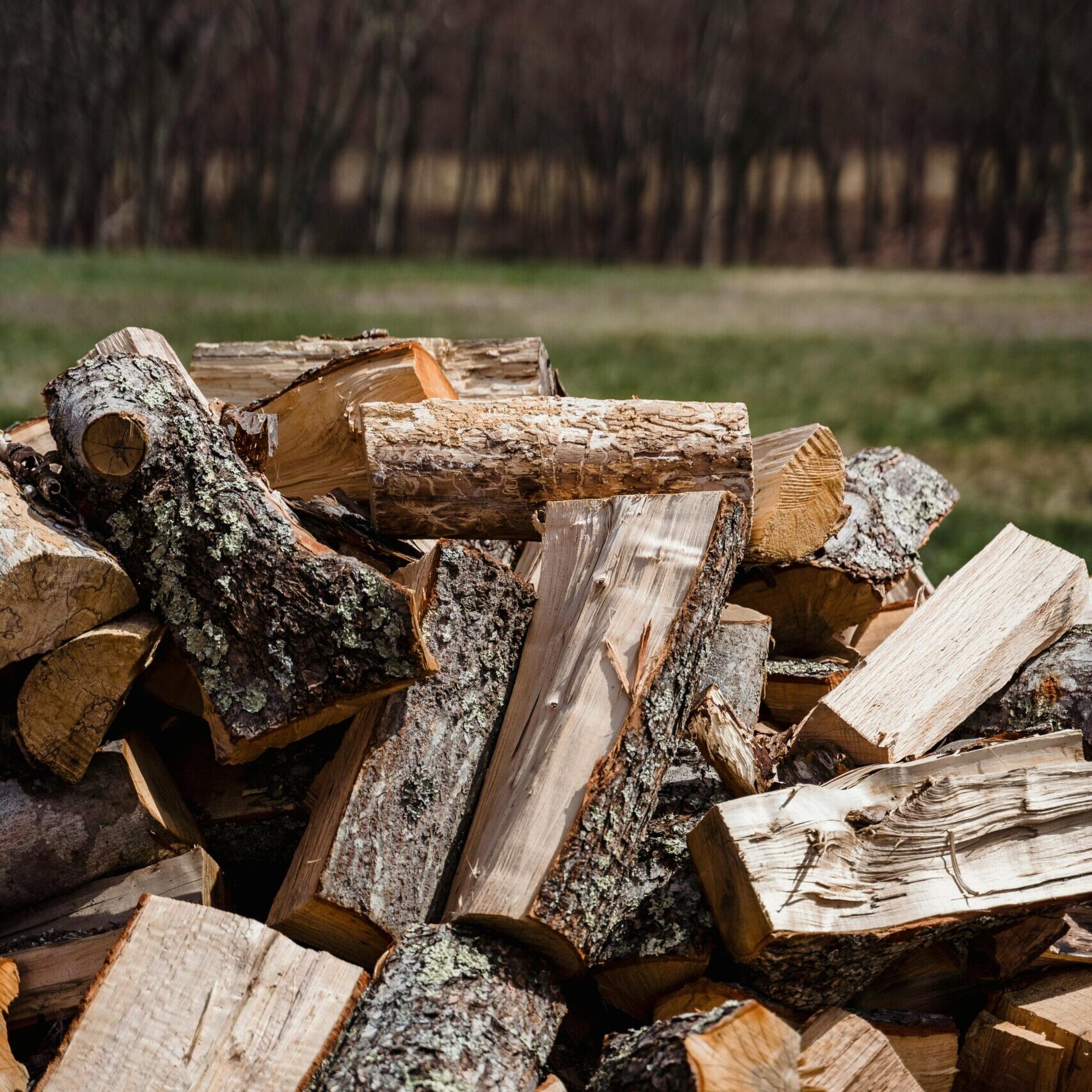A Chopped Wood Logs